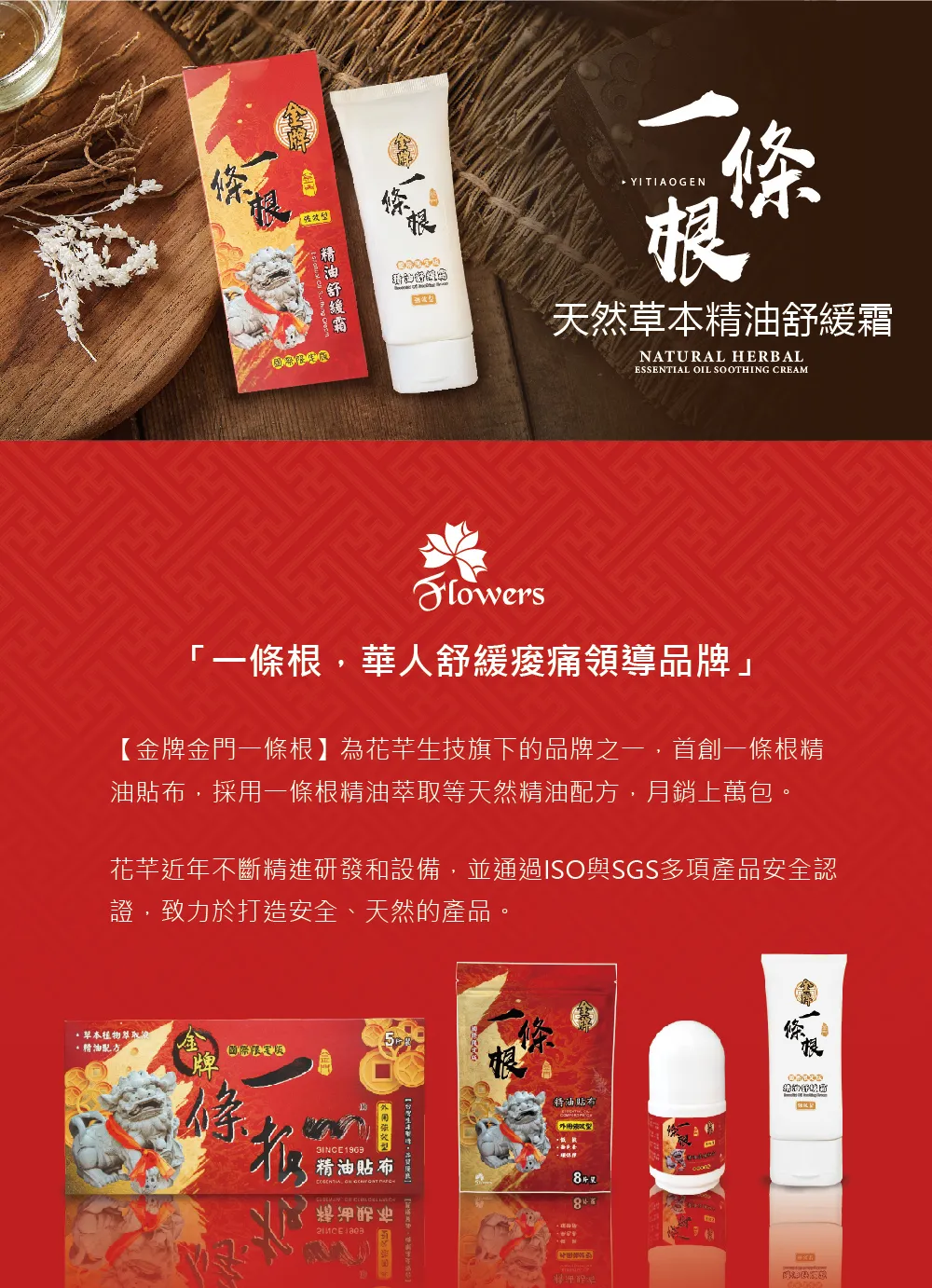 金牌金門一條根介紹